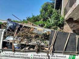 Best Basement Cleanout  in Homeland, GA
